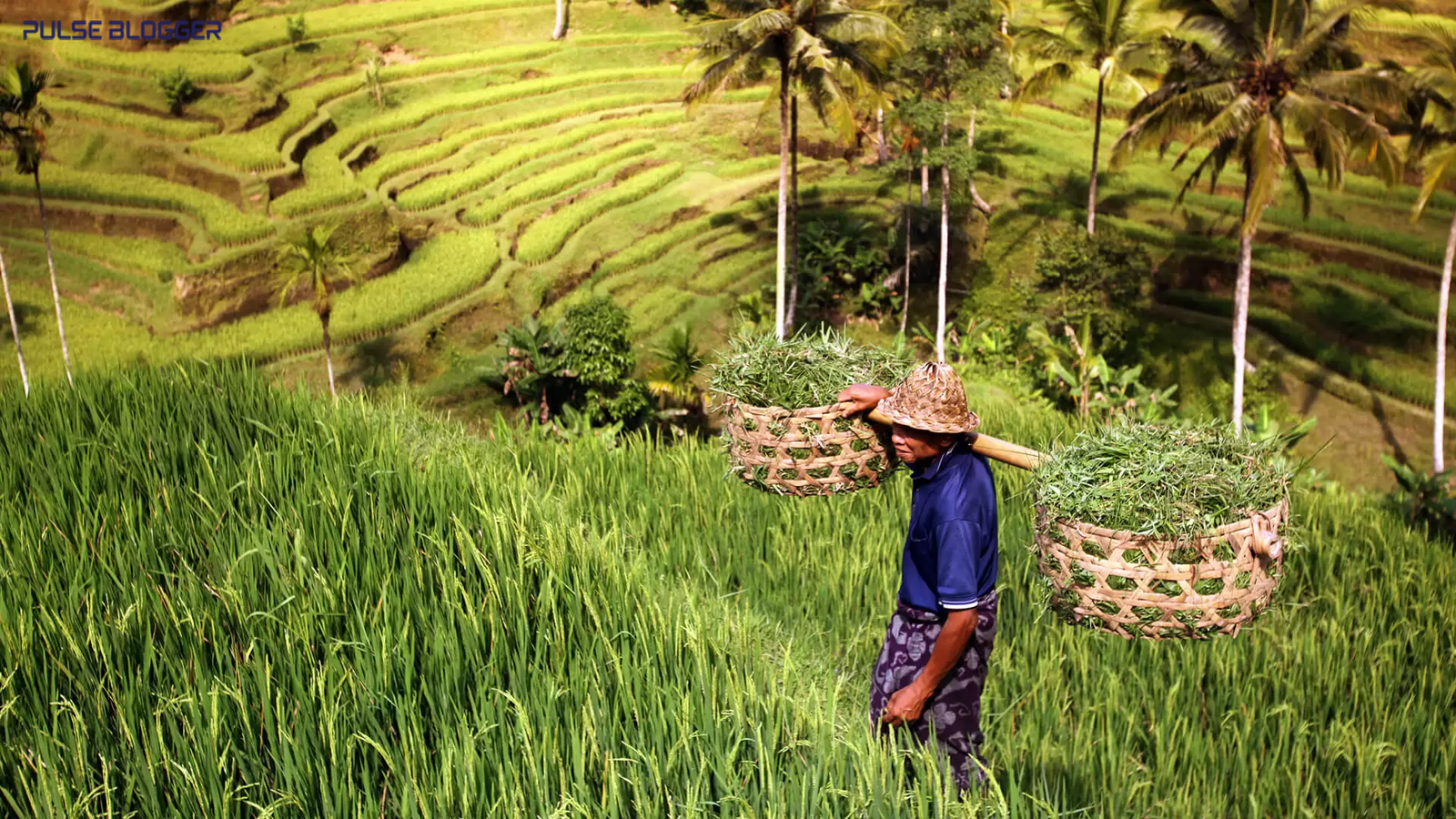 Beyond the Lens: Living in the Bali Agricultural Heritage